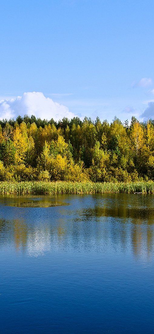 PeelitStickit, Beautiful Nature Wall Murals, ID-0042, vinyl