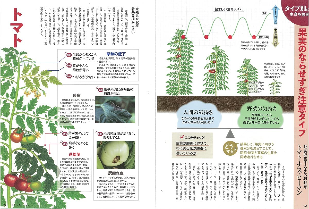 やさい畑 初夏号 21年 6月号 本 通販 Amazon