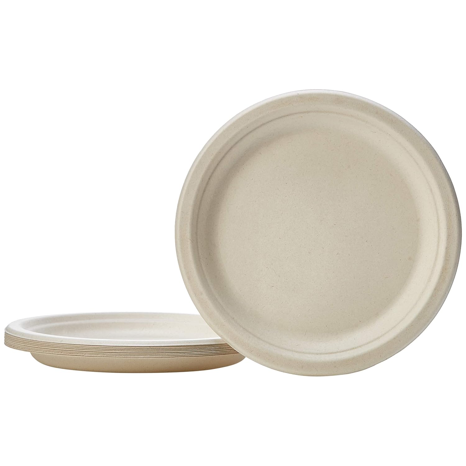 Basics Compostable Plates, 9-Inch, Pack of 500: Industrial & Scientific