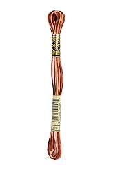Warm Brown Variegated 69 - DMC Mouline Stranded