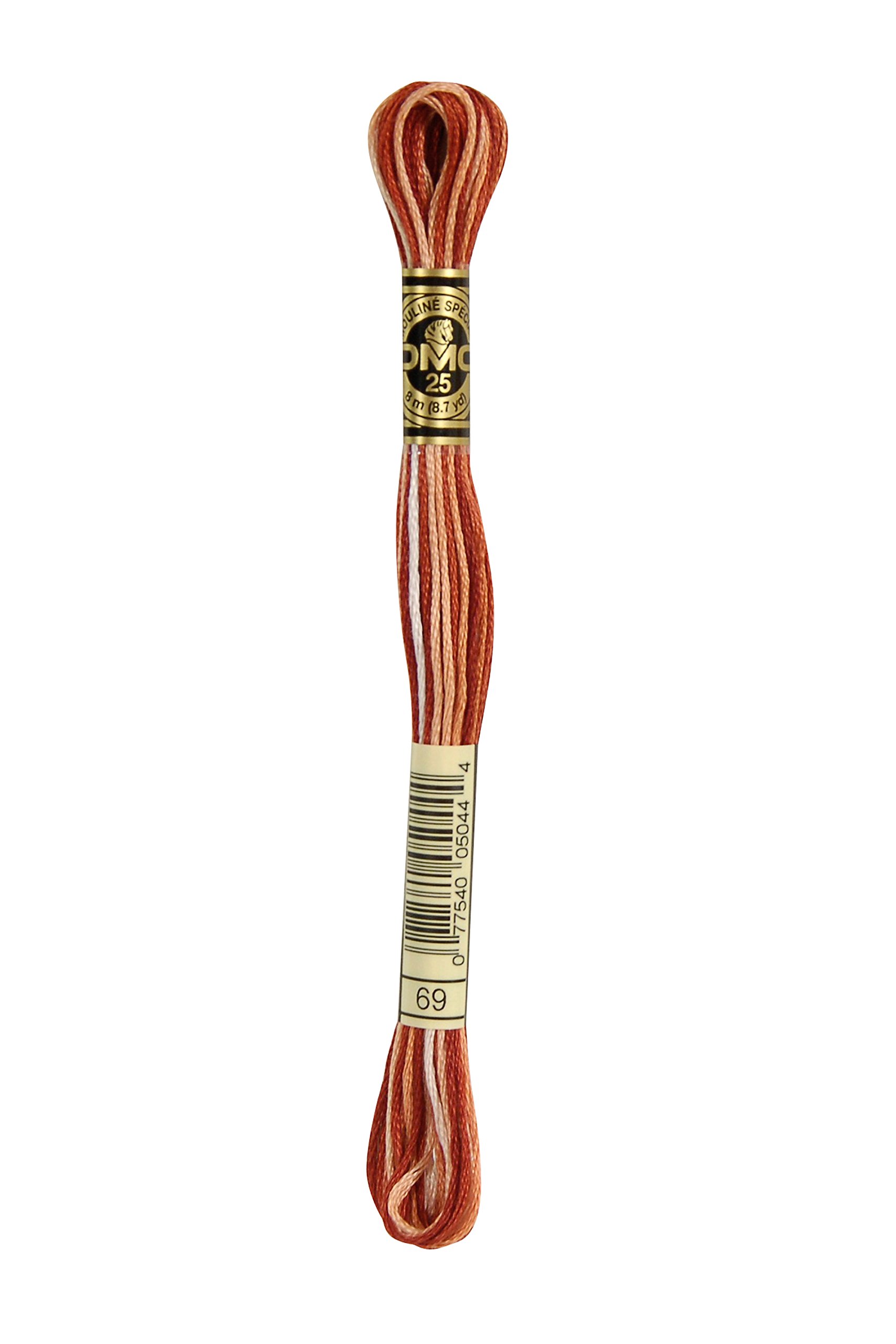 Warm Brown Variegated 69 - DMC Mouline Stranded