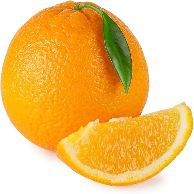 Hamlin Orange Tree, Nearly Seedless Citrus (Excludes CA