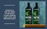 New York Biology Tea Tree Shampoo Deep Cleanser 236 ml view 4