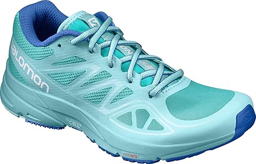 salomon advanced shoes