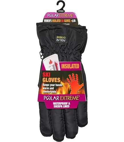 Amazon.com: Spyder Womens Insulated Quilted Snow Mitten, Black, S
