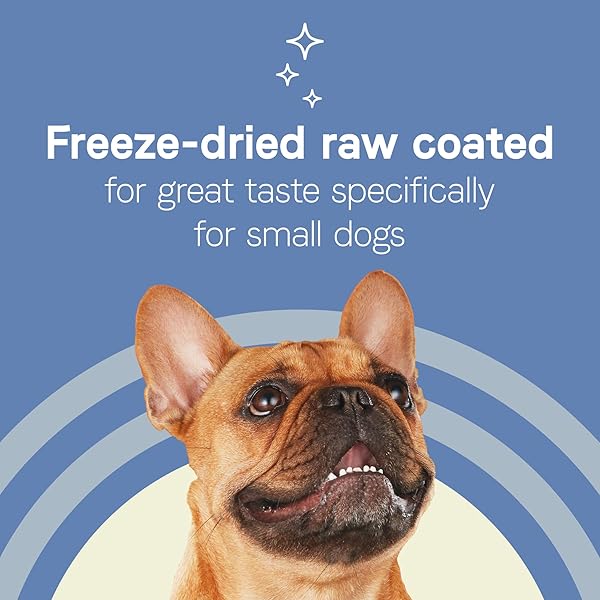 CANIDAE PURE PETITE PREMIUM FREEZE-DRIED RAW COATED DOG FOOD FOR SMALL BREEDS, REAL CHICKEN RECIPE, 10 LBS, GRAIN FREE