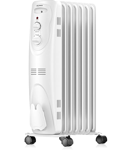 Homebasix CYPB-7 Mini Oil Filled Radiator, 700 Watts : Amazon.ca: Home