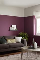 Crown Retail Feature Wall Addiction Paint 1.25 Litre Breatheasy Solvent Free view 3