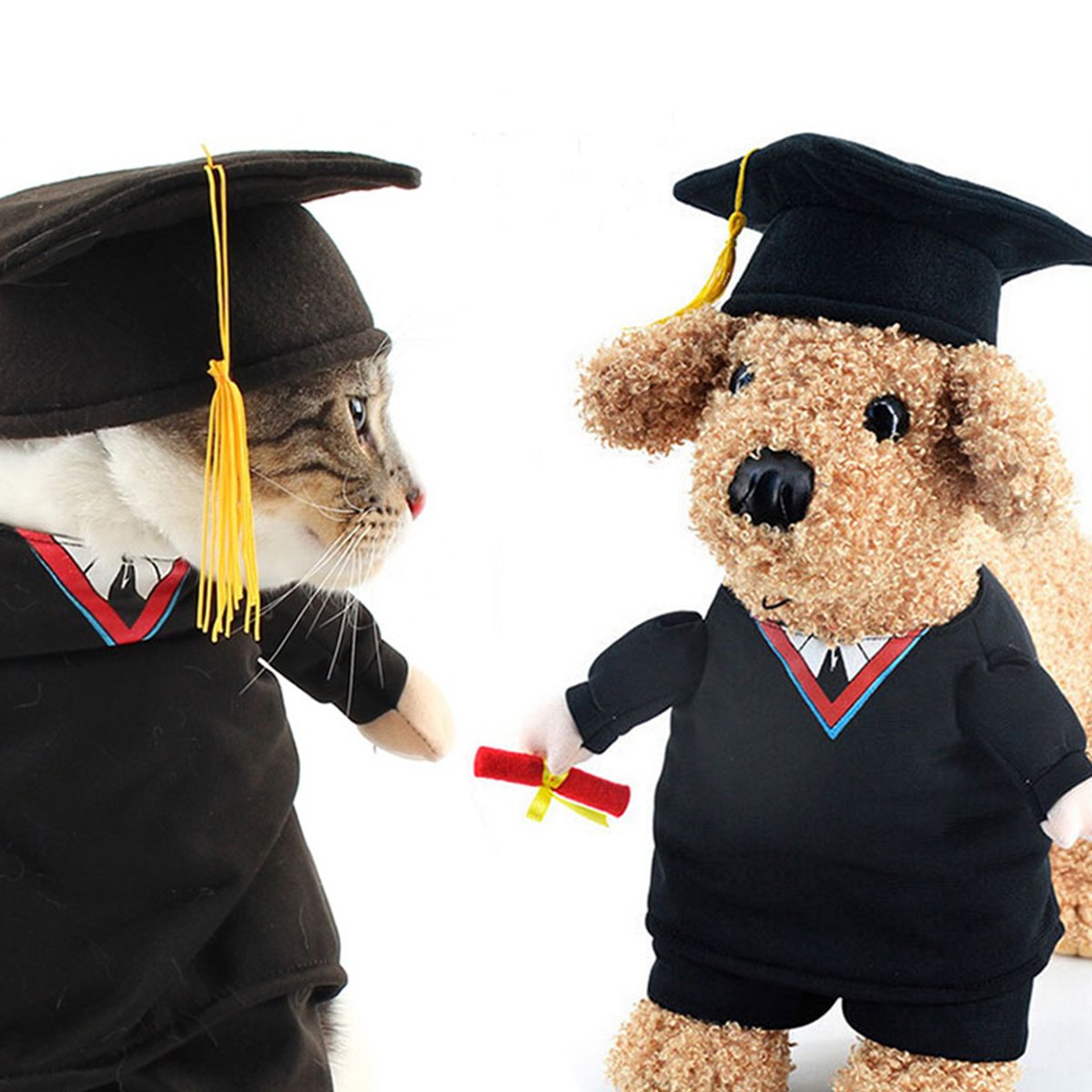 OSPet Funny Pet Graduation Costume with Black Graduation