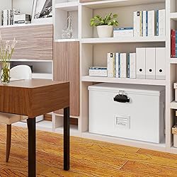 ROSONG Fireproof Document Box File Organizer