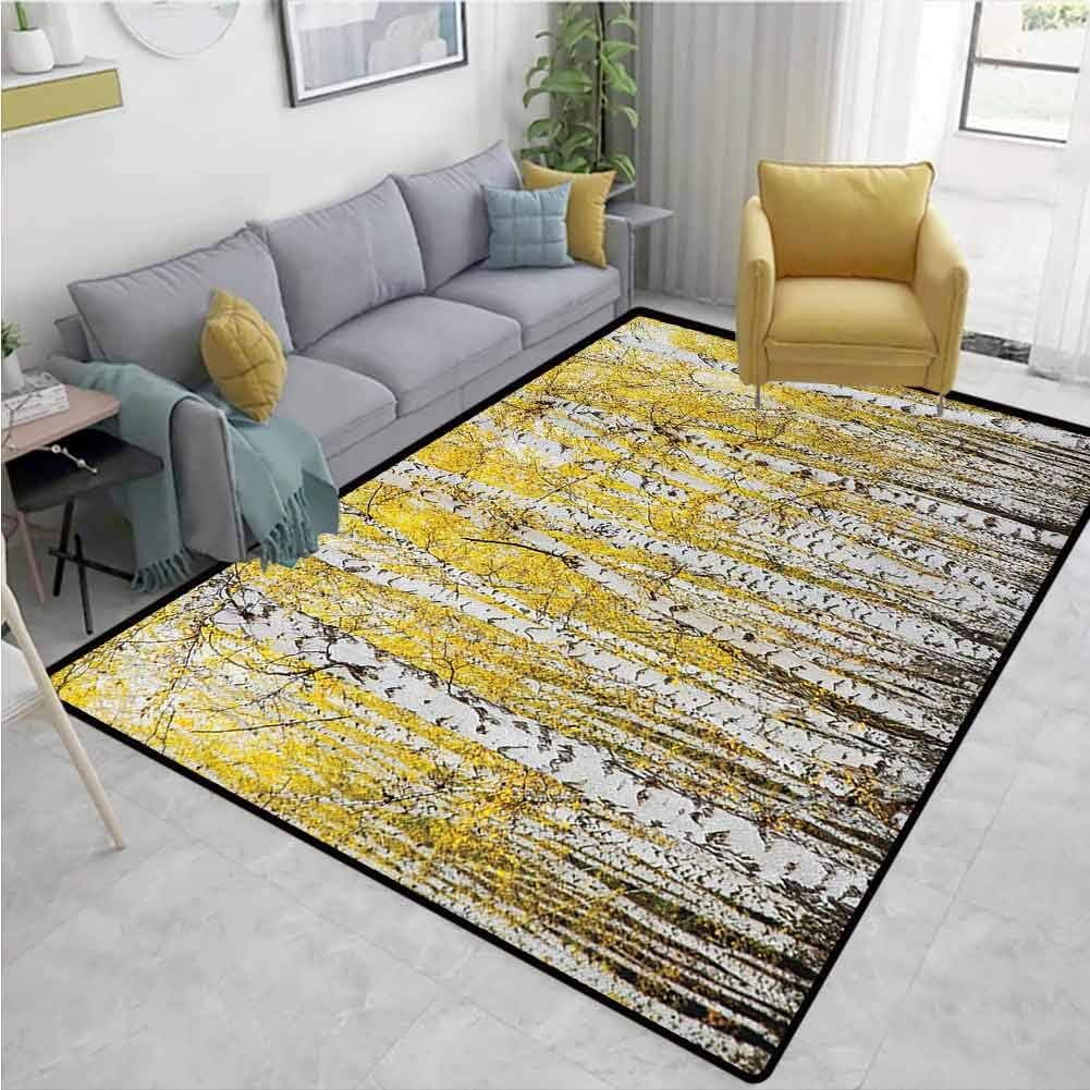 Large Area mat Forest Autumn Birch Forest Golden Leaves Woodland October Seasonal Nature Picture Print Machine Washable Yellow Grey