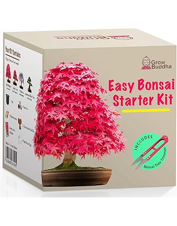 Amazon.es: Kits de cultivo en casa: Jardín