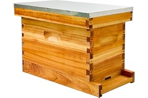 Hiveaura 5 Frame Bee NUC Box Kit Beeswax Coated Includes Bee Hive Frames and Foundations (Unassembled)