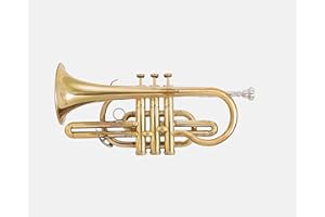 QUEENBRASS Queen Brass Bb Cornet Gold Finish Brass Body with Smooth Valves Mouthpiece and Hard Case for Beginners Students and Band Performers Rich Warm Tone