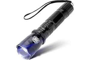 Pain Safari 2-in-1 Stun Gun Flashlight | Rechargeable Stun Gun for self Defense Men Women | Shockwave Mini Tactical Stungun | Palm-Sized | 150-Lumen, 9,000 Volts to Deter Attackers