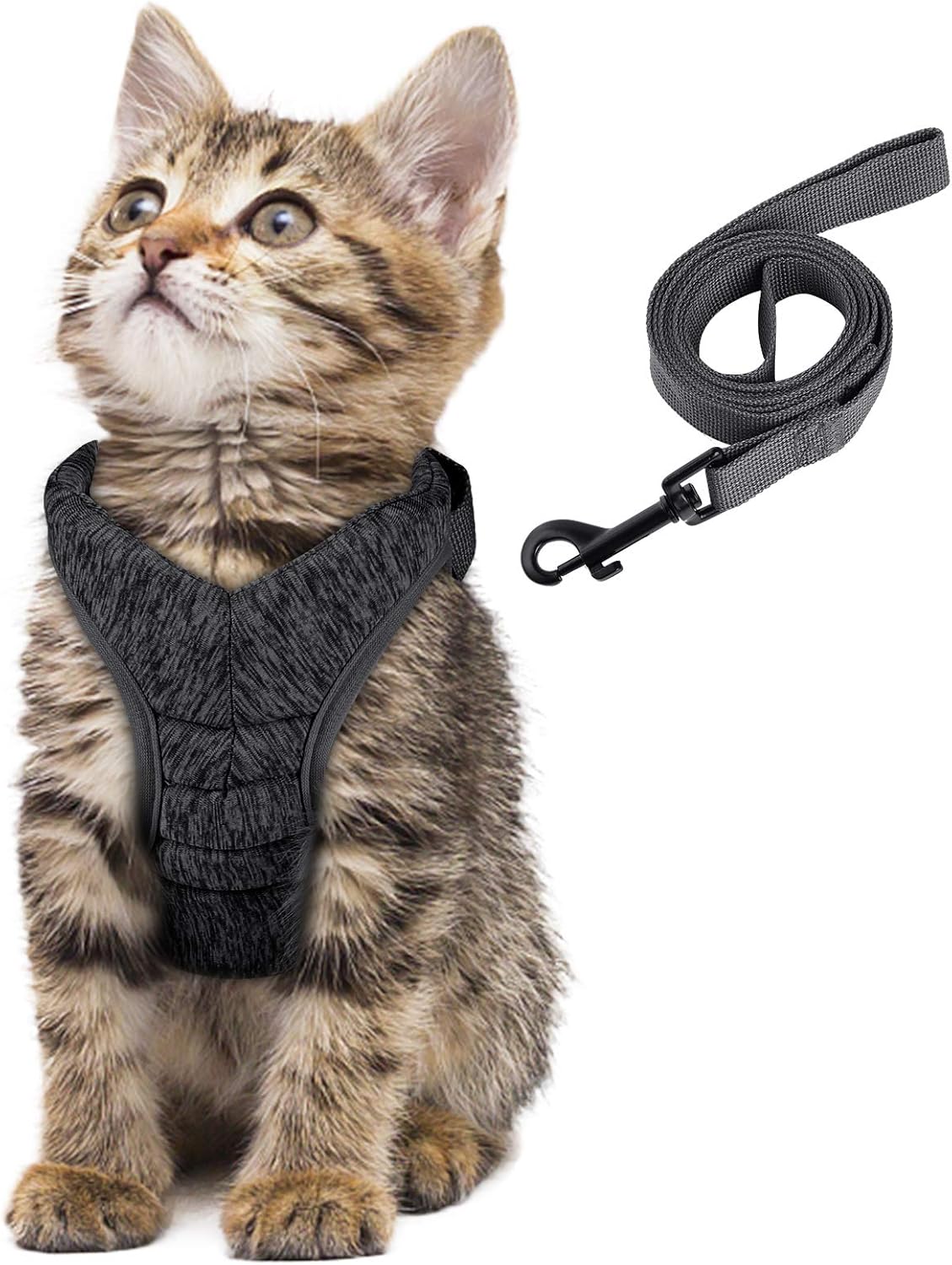 extendable cat lead