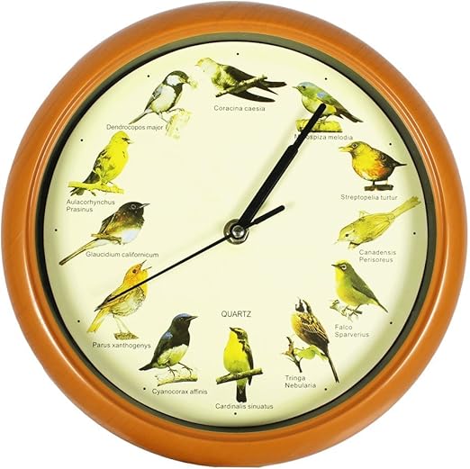 Genius Ideas Bird Song Clock Home & Kitchen