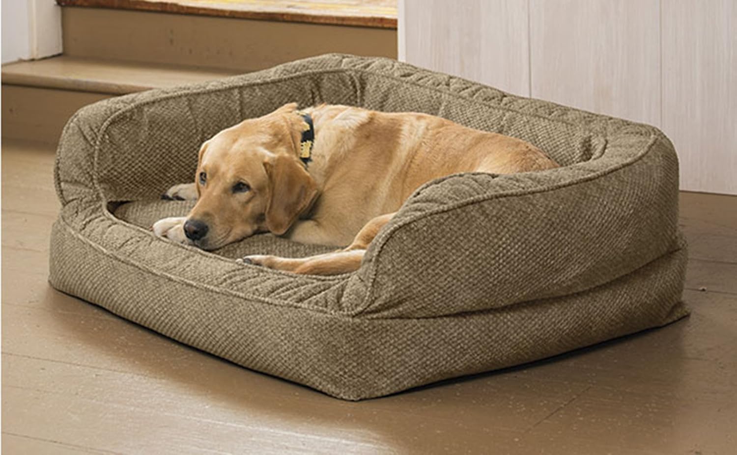 Amazon Com Orvis Memory Foam Couch Dog Bed Small Dogs Up To 40