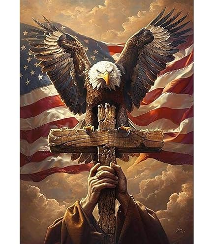 Amazon.com: 5D Diamond Art Painting by Number Kits Full Drill for