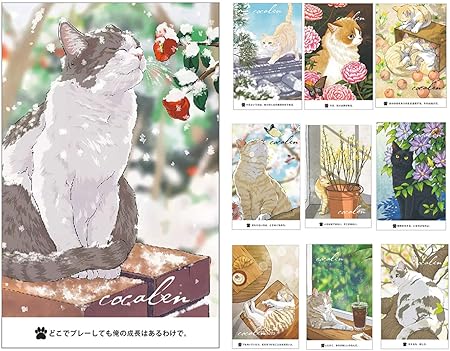 Amazon 猫の絵はがき12枚 猫はがき はがき箋 かわいい 私製 はがき絵葉書 凄く可愛い 窓包装 Cat Postcard Set 12 感謝カード 封筒 はがき レター用品 文房具 オフィス用品