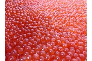 RODEO FOOD Salmon Red Caviar, Premium Chum Roe 1.1 lb | 500 g