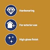 Johnstone's Woodcare Outdoor Yacht Varnish Clear 250ml - Durable Weather view 4