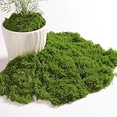 5.3 Oz Artificial Moss for Crafts - Fake Green Moss Decor for Fairy Gardens, Wedding Centerpieces, DIY Floral Arrangements & Party Decor (Decorative Faux Moss)