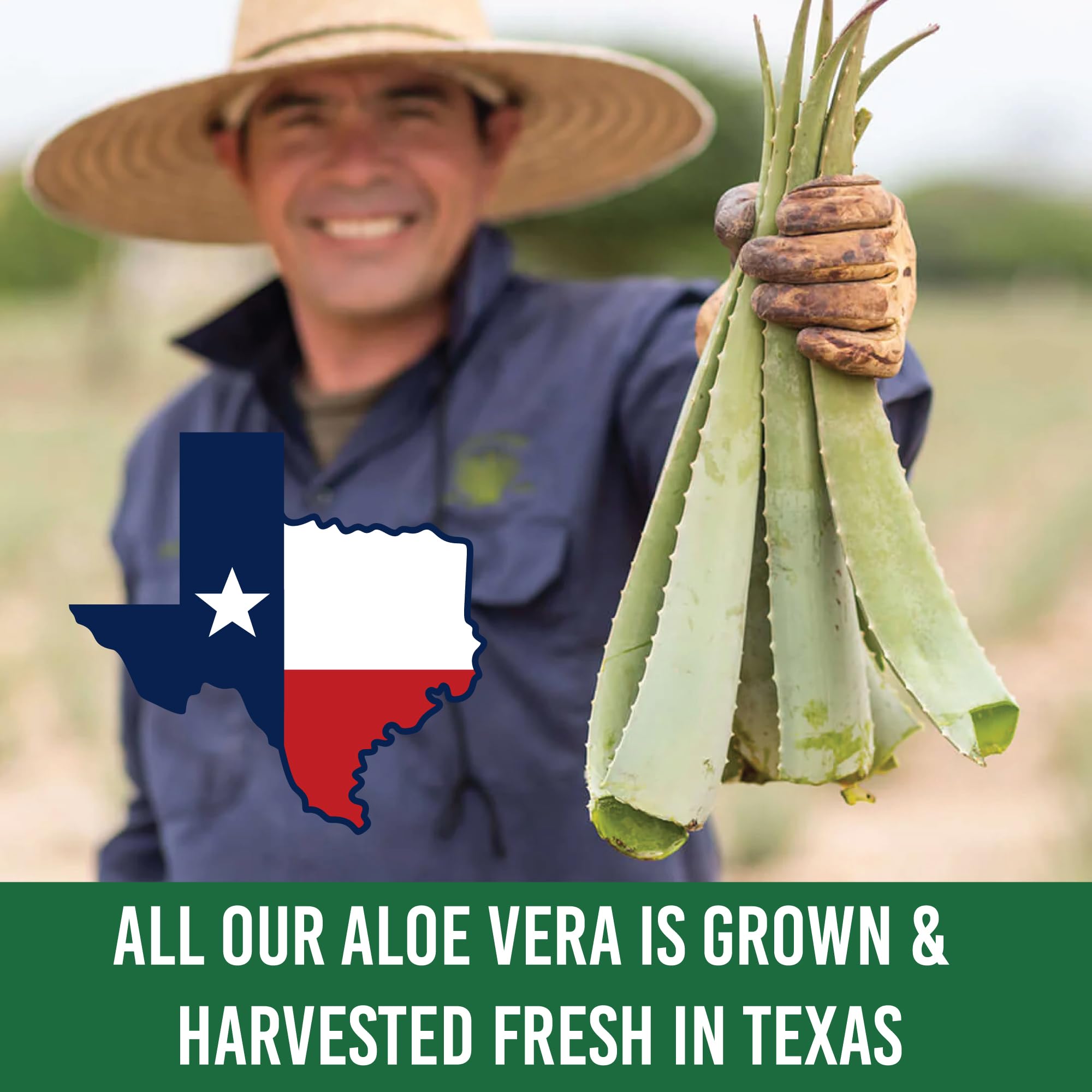 Green Leaf Naturals - Manuka Honey Face Cream - 16oz -Aloe Vera - Jojoba Oil Infused - Body Cream - Gluten Free Moisturizer for Kids & Adults - Nourishing Skin Care