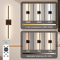 Torchlet Battery Operated Wall Sconce with Remote