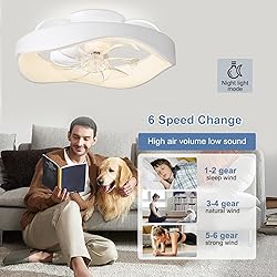 DLLT 20'' Flush Mount Ceiling Fan with Led Light