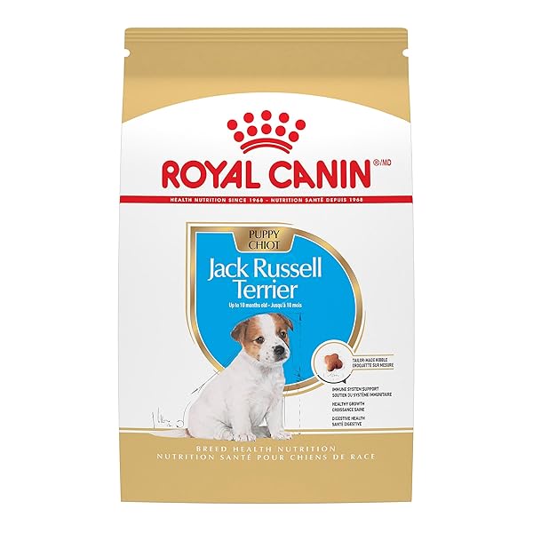 ROYAL CANIN BREED HEALTH NUTRITION JACK RUSSELL TERRIER...