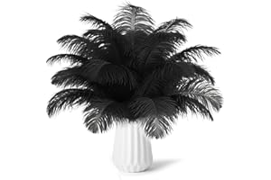 NEWONG 30pcs Black Ostrich Feathers Natural Bulk 8-10inch(20-25cm) Vase Craft Wedding Home Party Centerpieces Christmas Day Decoration