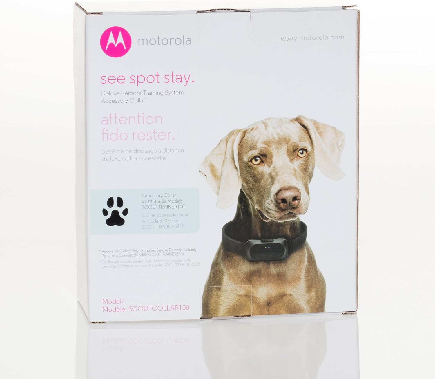 static correction dog collar