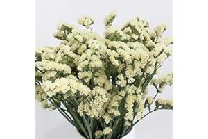 JOJAZE Dried Flowers Forget Me Not with Stems Natural Dried Flowers Sea Lavender Preserved Myosotis Bouquet White Statice Flowers for Floral Arrangements Wedding DIYParty Resin Vase Home Decoration