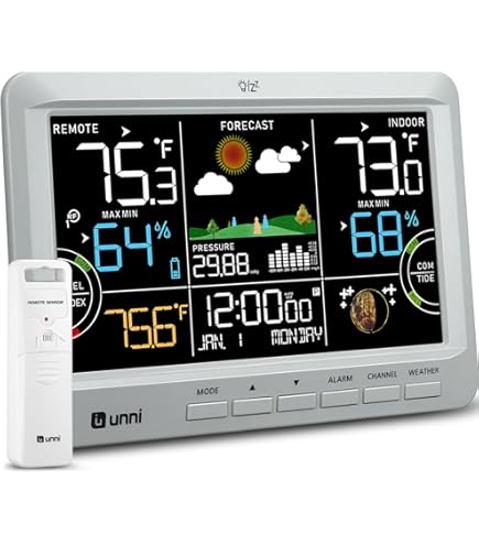 Amazon.com : ROYAL WS22 Desktop Weather Station : Indoor Outdoor
