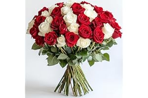 GlobalRose Fresh Cut Red & White Roses - 50 (25 Red & 25 White) - Real Fresh Flowers Bouquet for Anniversary