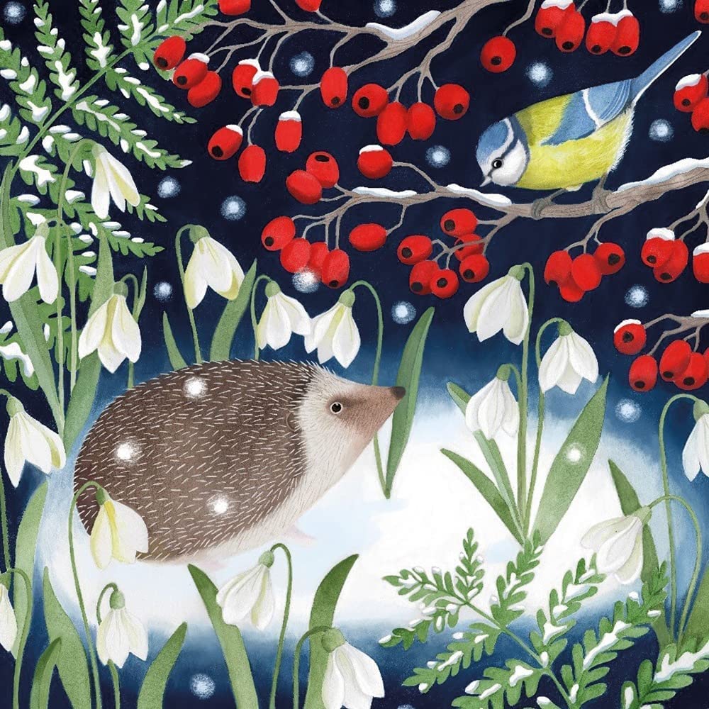 Museums & Galleries Charity Christmas Cards - Hedgehog and Blue Tit Snowy Scene - Eco-Friendly and Recyclable - Pack of 5 Cards