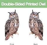 Lifreer Fake Owl Decoy 5Pcs Reflective Bird Deterrent Outdoor Hanging Device view 3