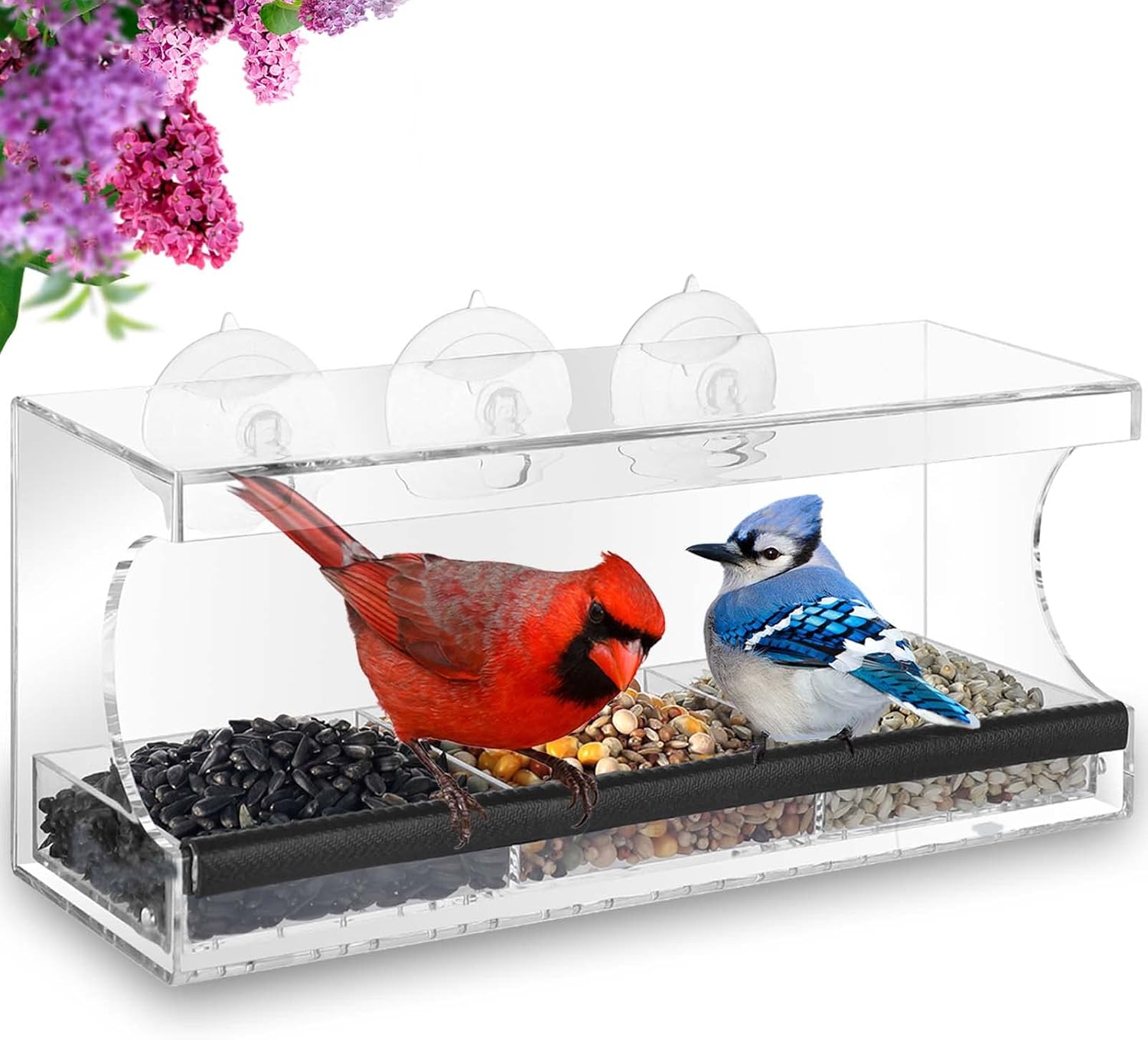 Backyard Birding & Wildlife - Mrcrafts Window Bird Feeder for Outside with Strong Suction Cups, Fits for Cardinals, Finches, Chickadees etc