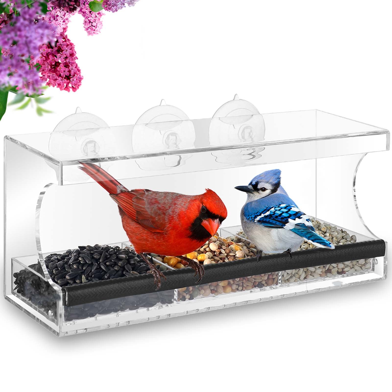 Photo 1 of MrCrafts Window Bird Feeder for Outside with Strong Suction Cups, Fits for Cardinals, Finches, Chickadees etc