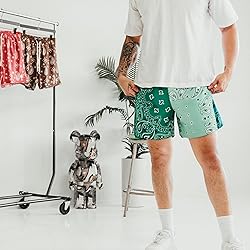 DIOTSR Mens Paisley Graphic Basketball Shorts