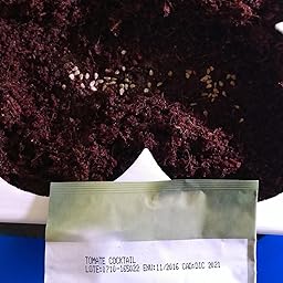 Huerto Urbano - Seed Box Kids - Batlle: Amazon.es: Jardín