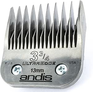 apple head chihuahua yorkie mix