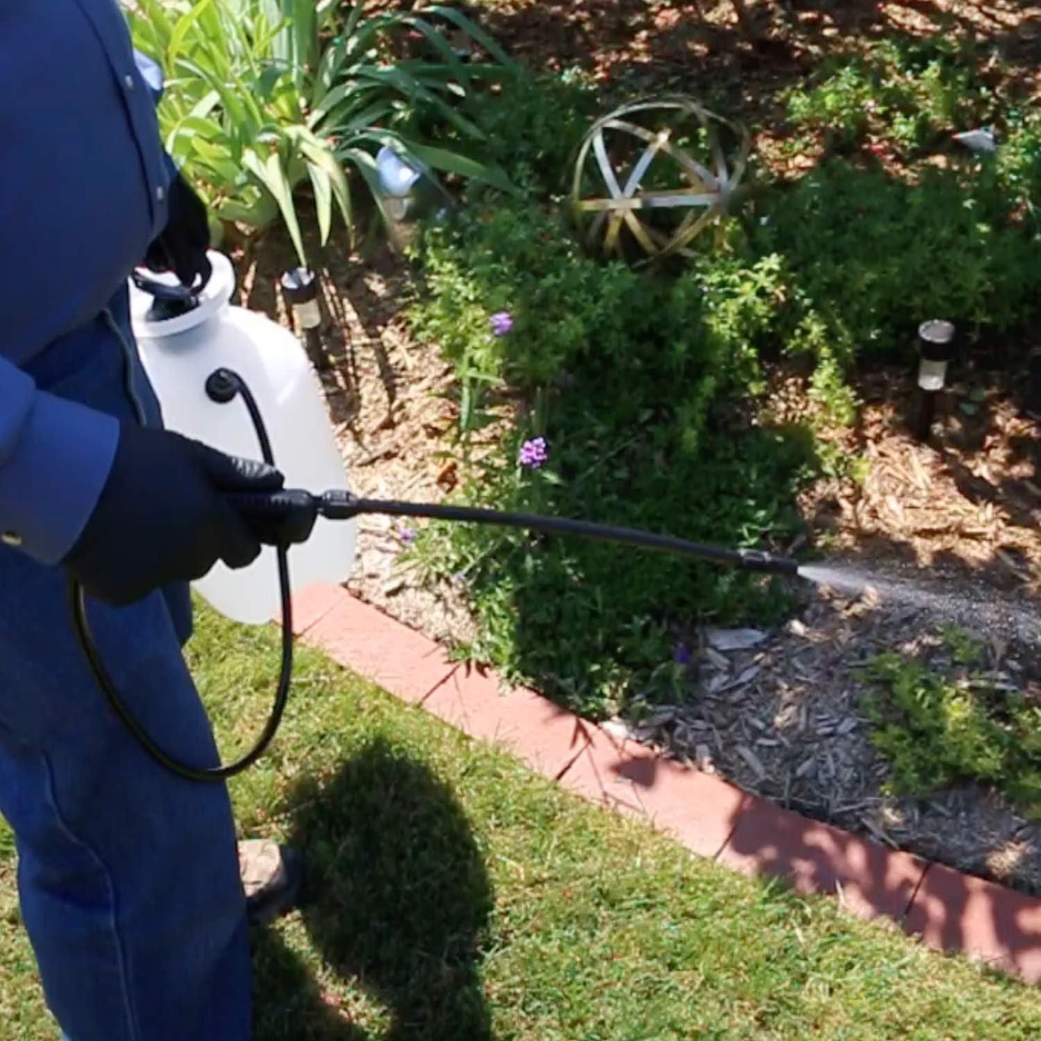 Chapin 20000 Garden Sprayer 1 Gallon Lawn : Garden & Outdoor