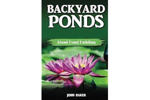Backyard Ponds: About Pond Building