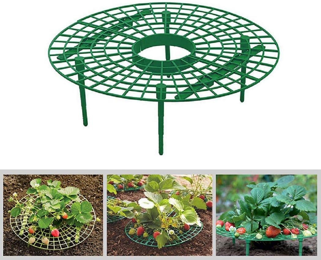 Mishiner 4 Piezas de Soporte de Fresas de jardín Calabaza Soportes ...