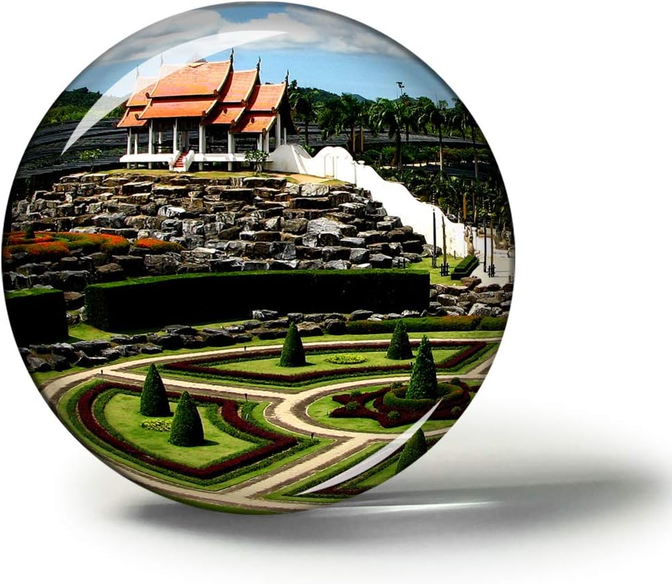 Best Botanical Refrigerator Magnets