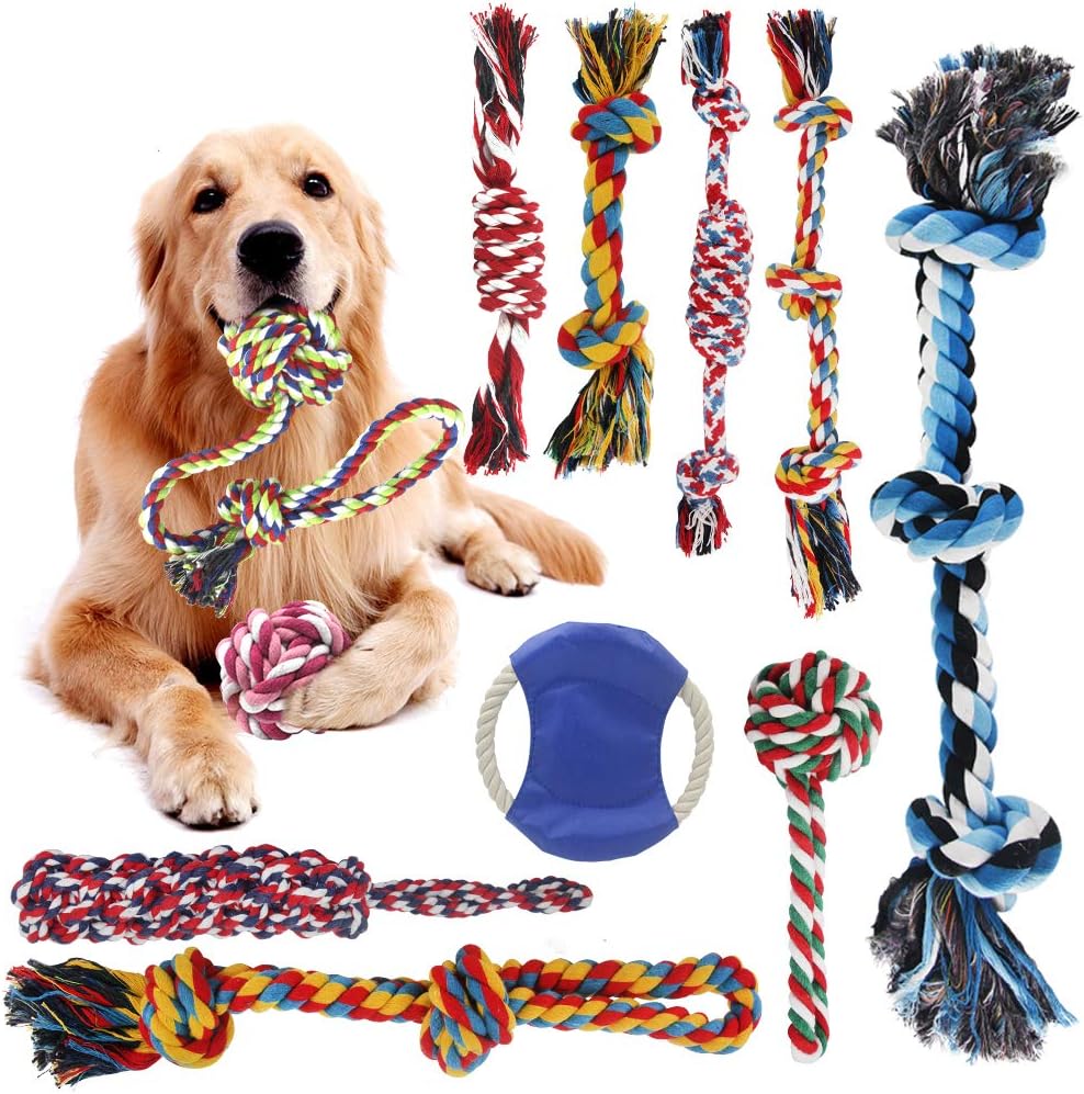 dog toys to stop boredom