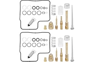DUZFOREI 2 Pack Carburetor Rebuild Carb Repair Kit Replacement for Honda Shadow Spirit ACE 750 VT750C VT750CD VT750DC