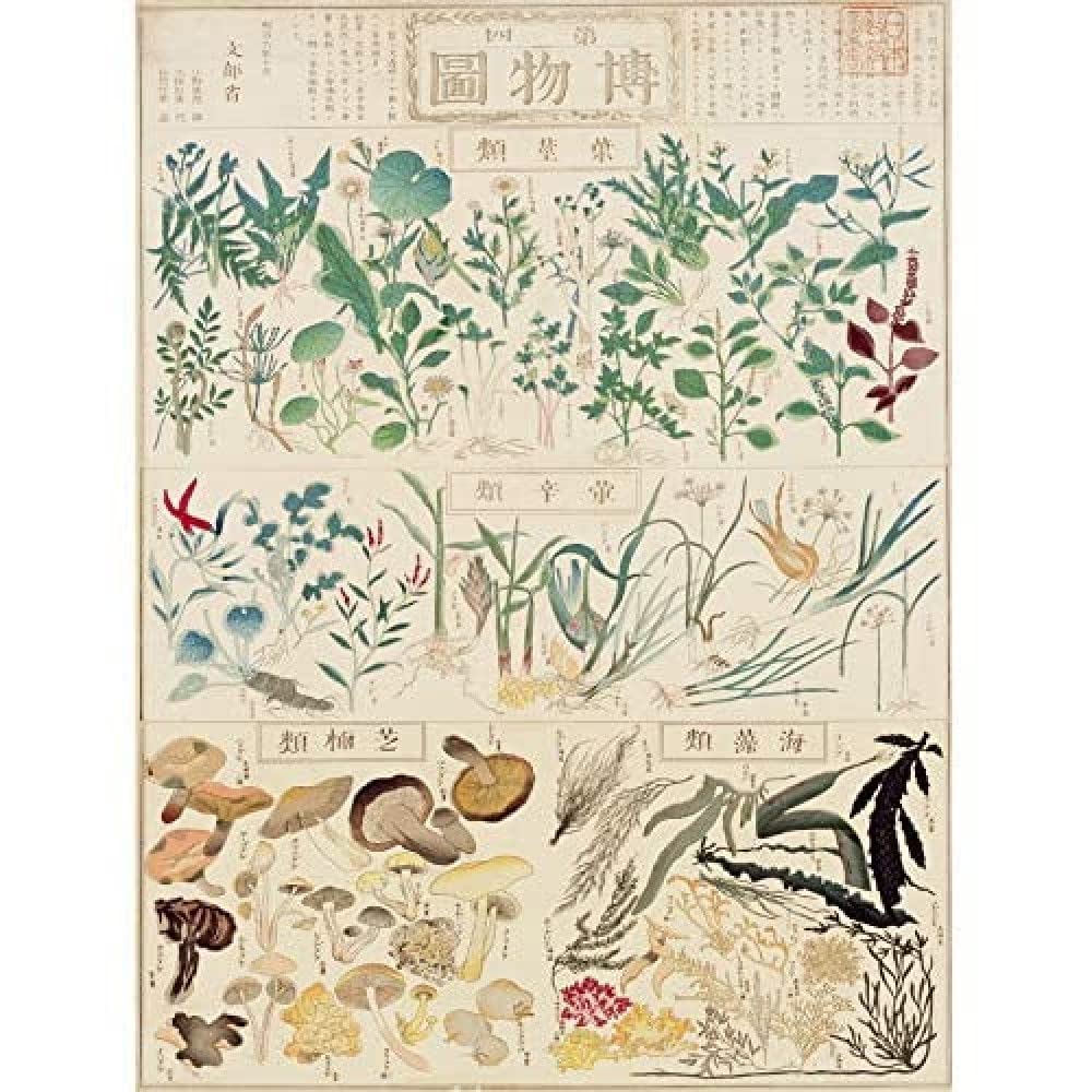 Artery8 Kato Chikusai Species of Flora Fauna Mushrooms Japanese Unframed Wall Art Print Poster Home Decor Premium